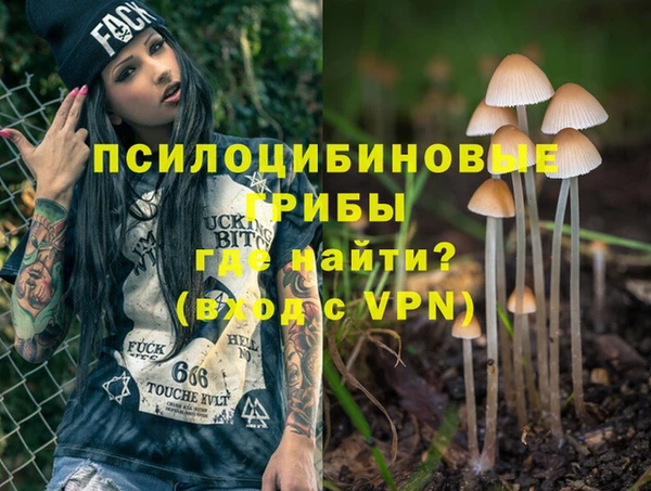 крисы Алексеевка