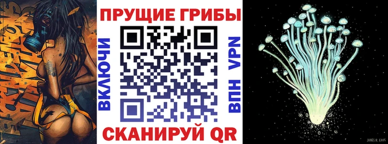 Галлюциногенные грибы ЛСД  Купить  Серафимович 